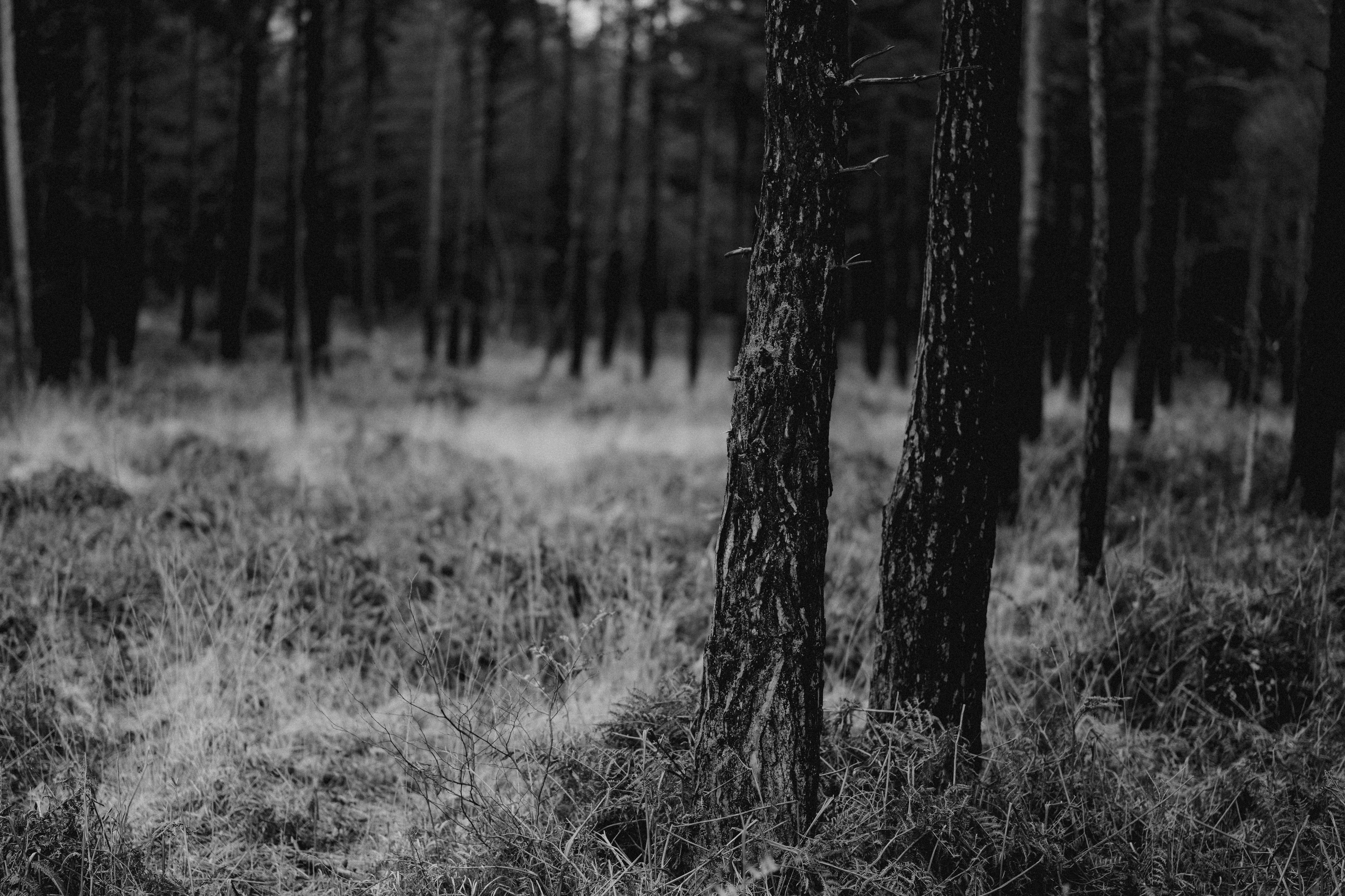 Photo by anniespratt