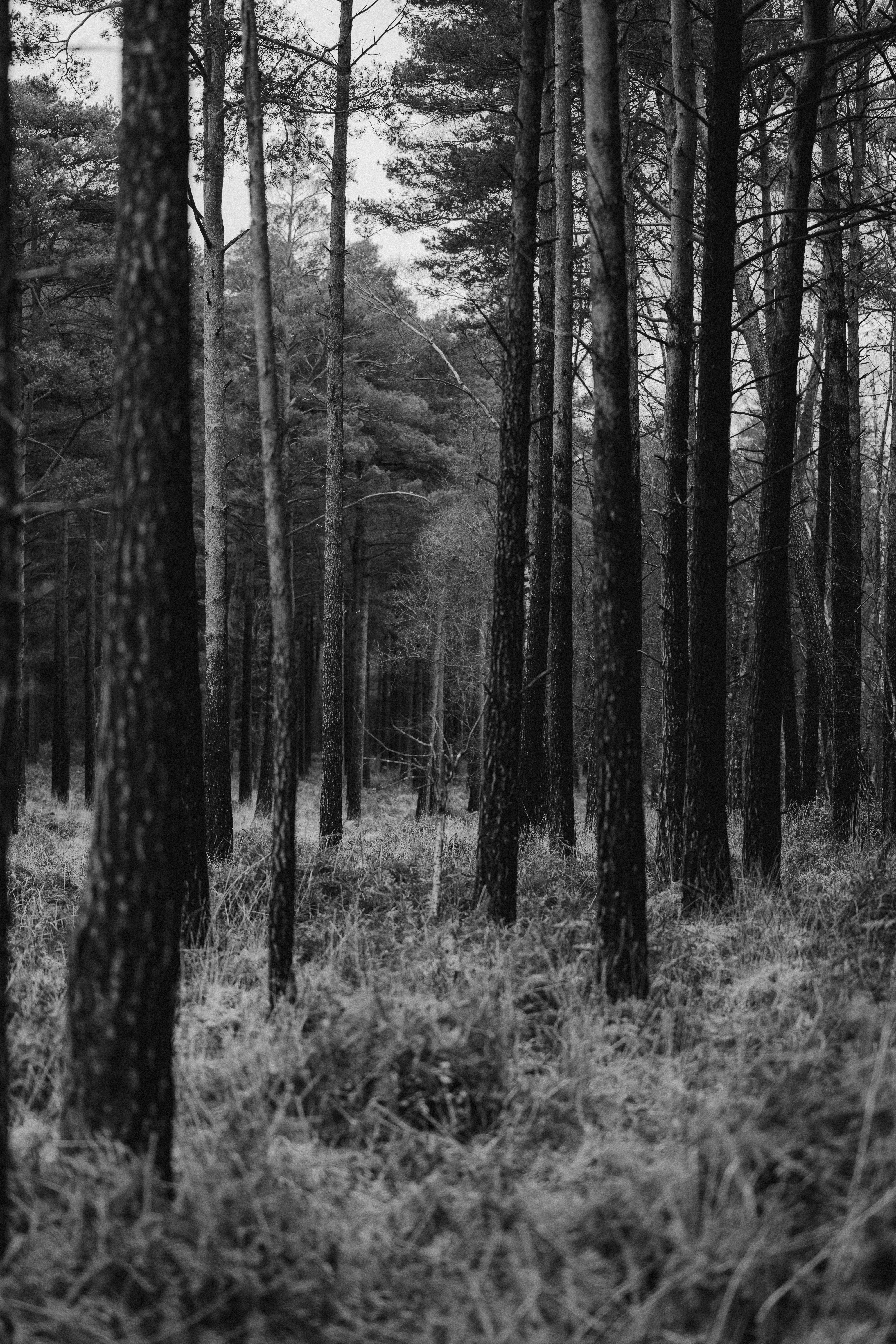 Photo by anniespratt