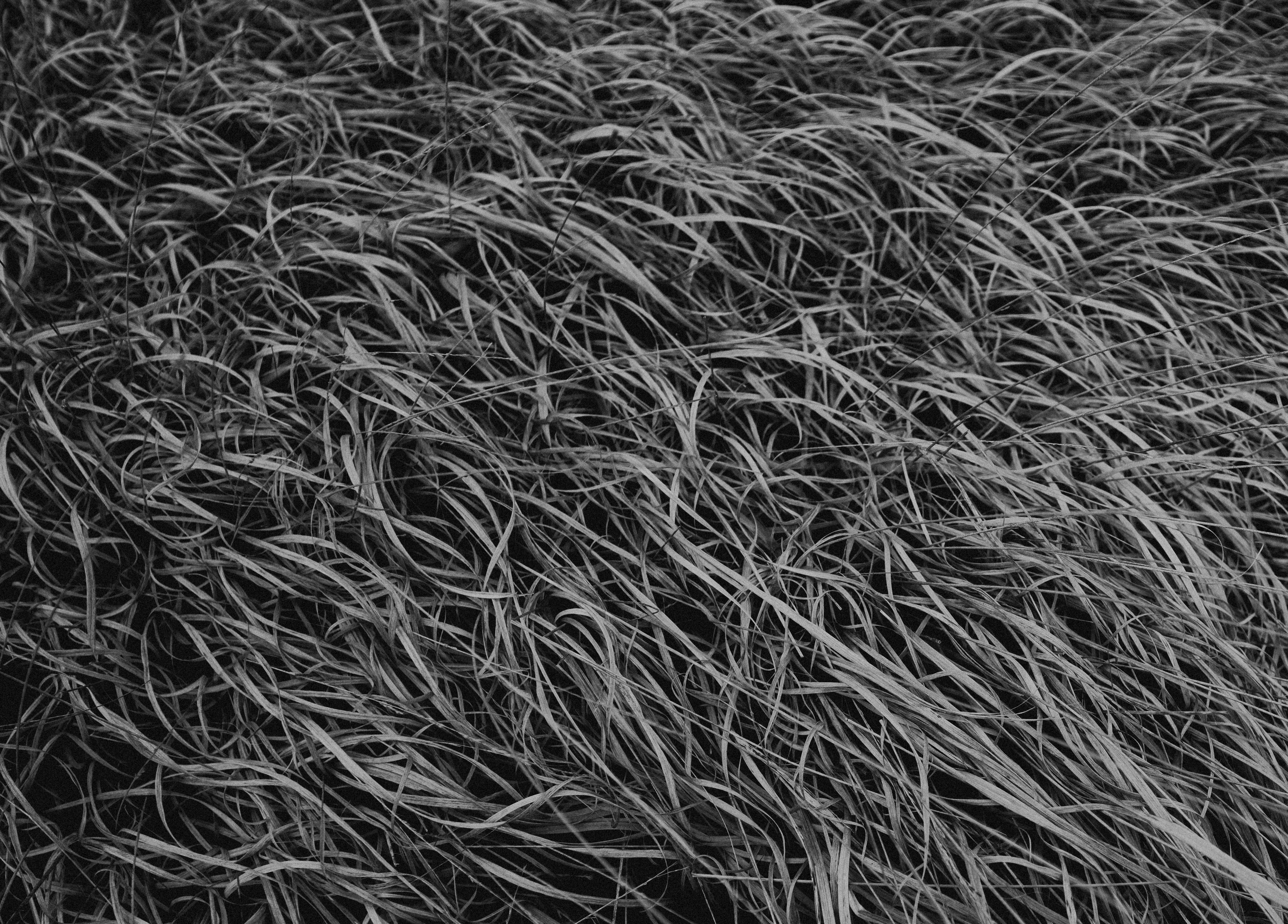 Photo by anniespratt