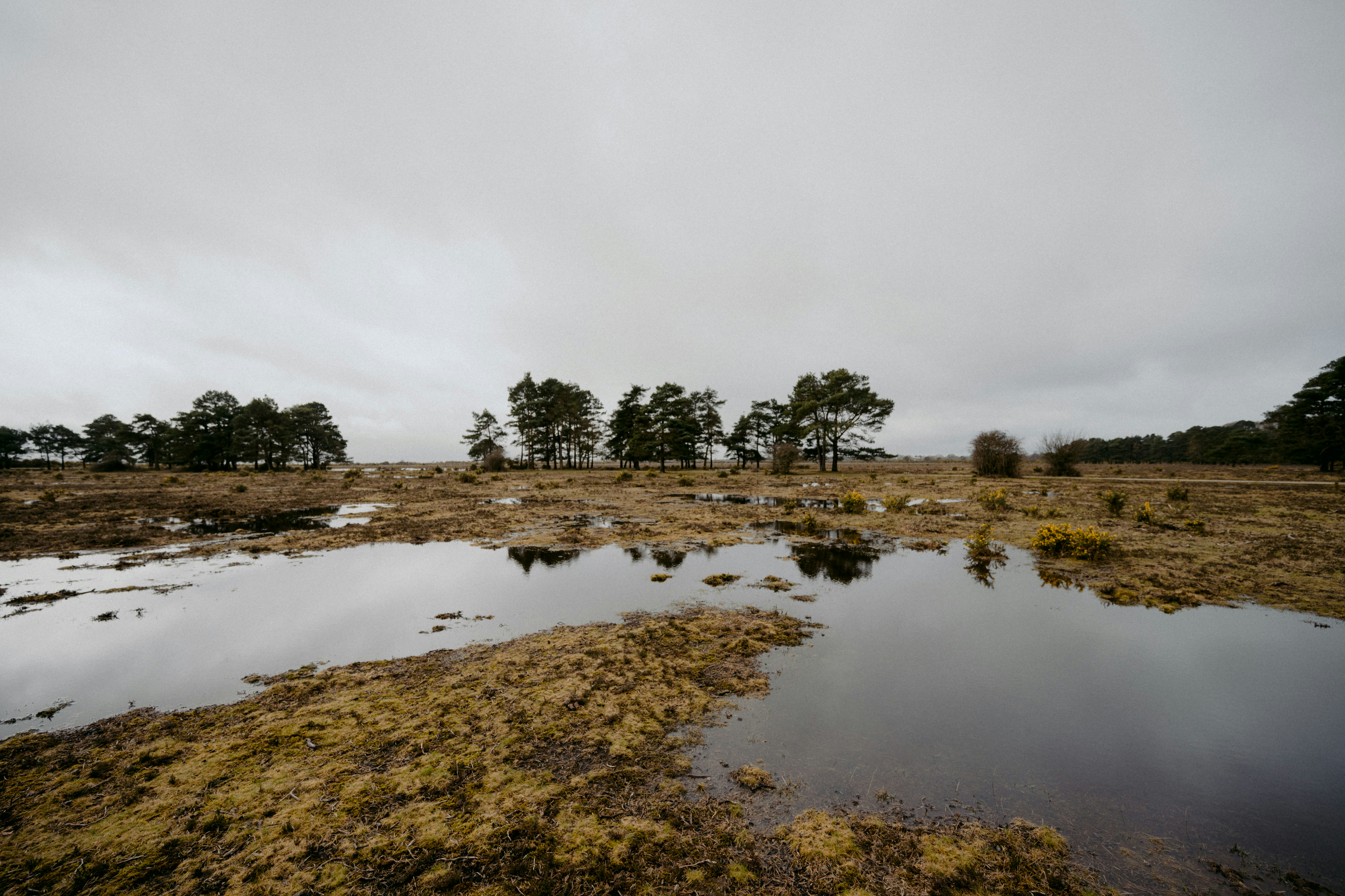 Photo by anniespratt