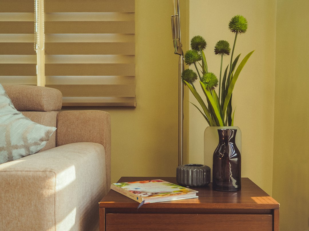 modern sofa closeup