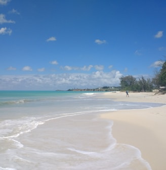 green palm trees on beach shore under blue sky during daytime