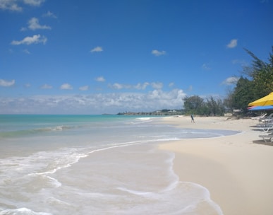 green palm trees on beach shore under blue sky during daytime