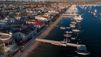 white and blue boat on sea during daytime