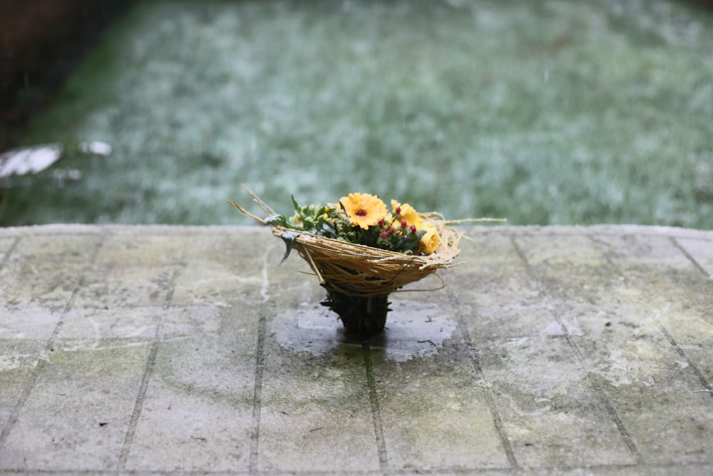 yellow flowers in brown woven basket on gray concrete floor