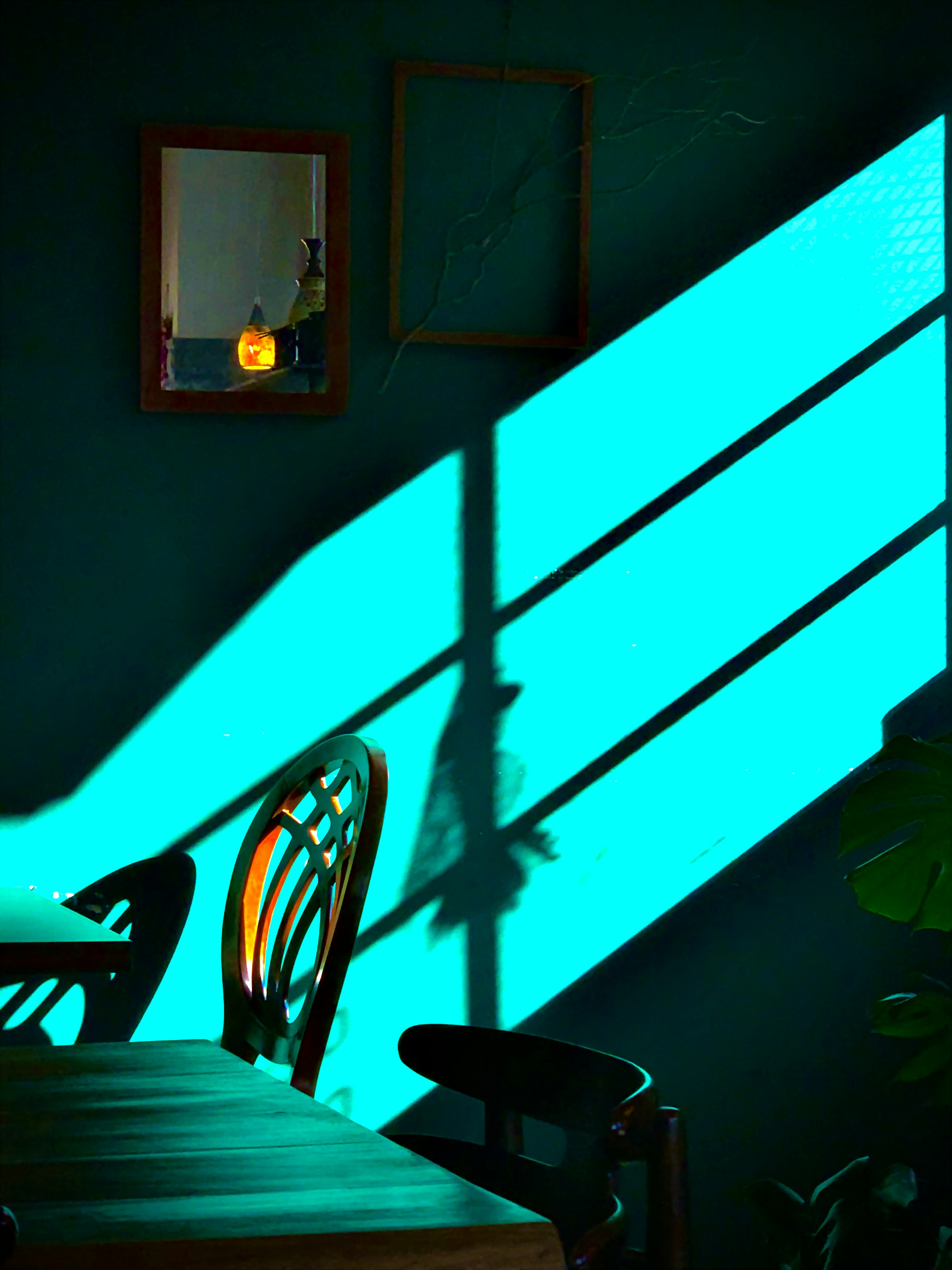 photo-1583864000576-5cc2a3c20bbf?ixid=M3wxMjA3fDB8MXxzZWFyY2h8Mnx8JUVCJUIwJTk4JUVDJTg2JUExJUVCJThGJTk5JTIwJUVEJTlDJUI0JUVBJUIyJThDJUVEJTg1JTk0fGVufDB8fHx8MTc0MDU1OTUzM3ww\u0026ixlib=rb-4.0.3