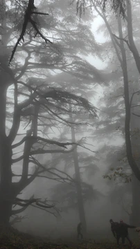 Epic Nordic battlefield with wolves running through mist.