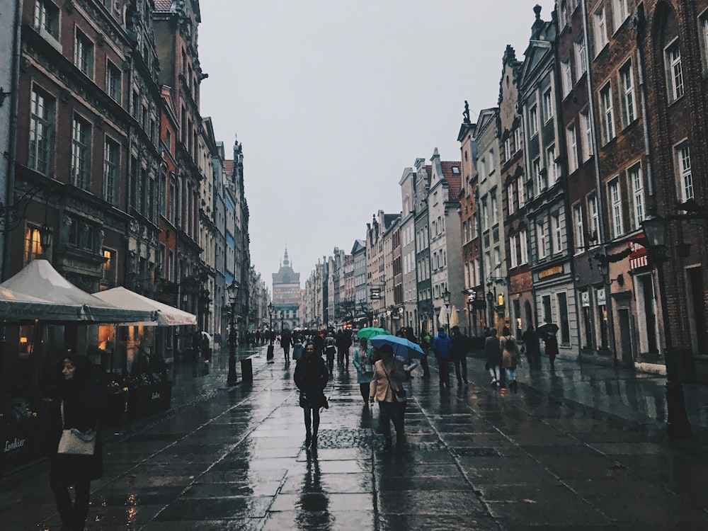 people walking on street during daytime