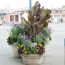 A vibrant shopping mall corner featuring an assortment of flourishing potted planters.