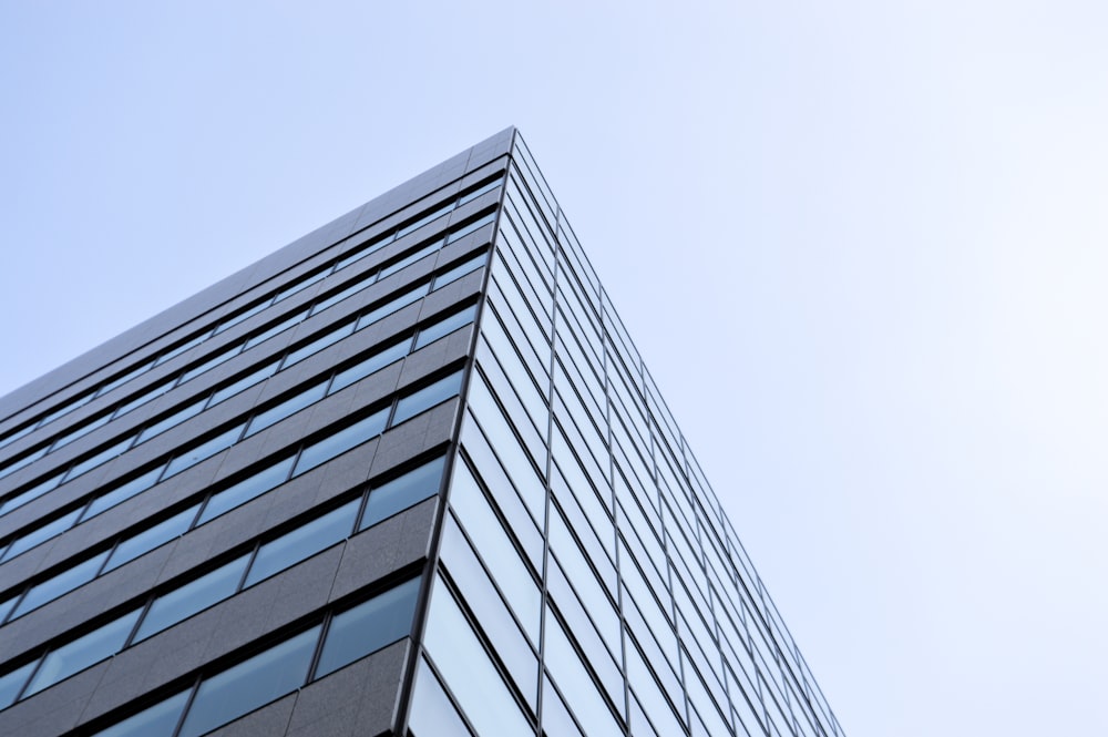 white and black concrete building