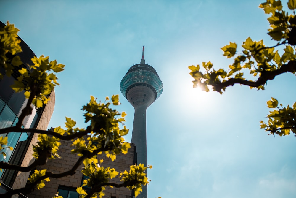 green and white tower under blue sky during daytime