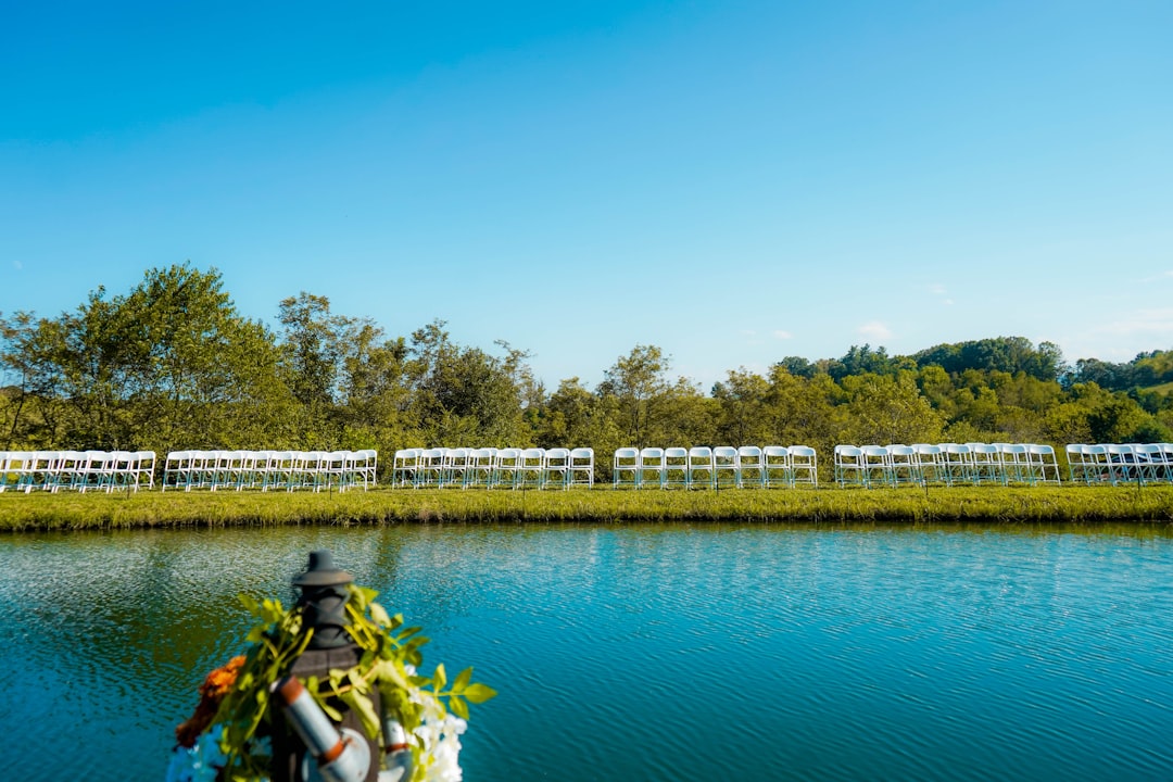 green grass field near body of water during daytime