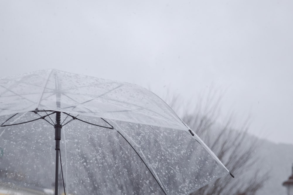 grayscale photo of umbrella under cloudy sky