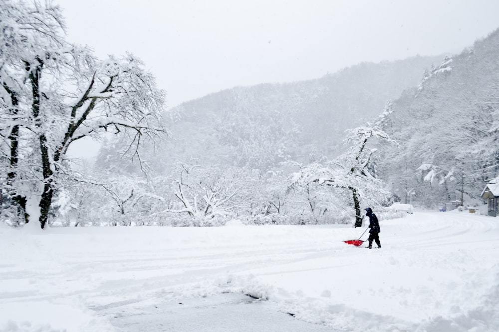 黒いジャケットと赤いズボンを着た人が、雪に覆われた地面を赤い雪そりに乗って走っています