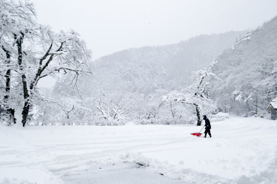person in black jacket and red pants riding on red snow sled on snow covered ground in Lake Kawaguchi Japan