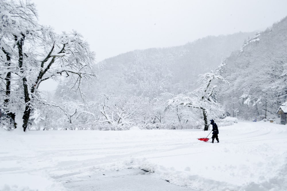 pessoa em jaqueta preta e calças vermelhas cavalgando em trenó de neve vermelho no chão coberto de neve