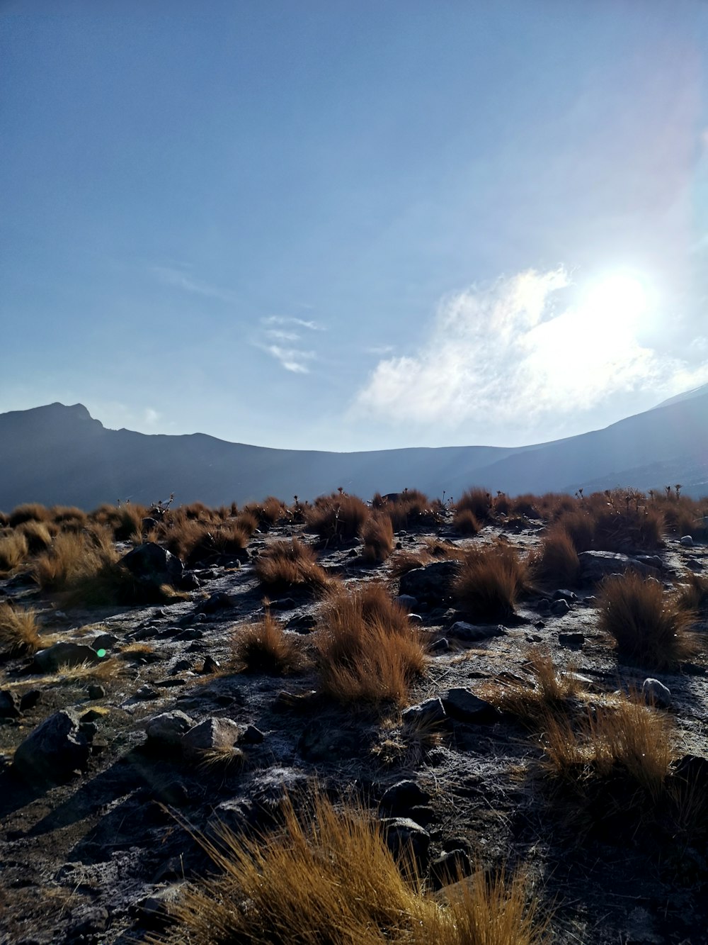 brown grass on rocky ground under white clouds and blue sky during daytime