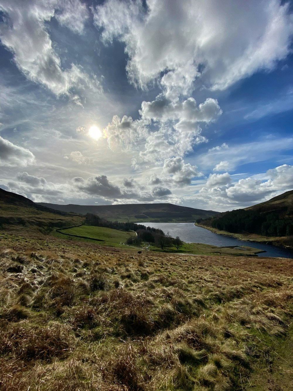 green grass field near lake under blue sky and white clouds during daytime