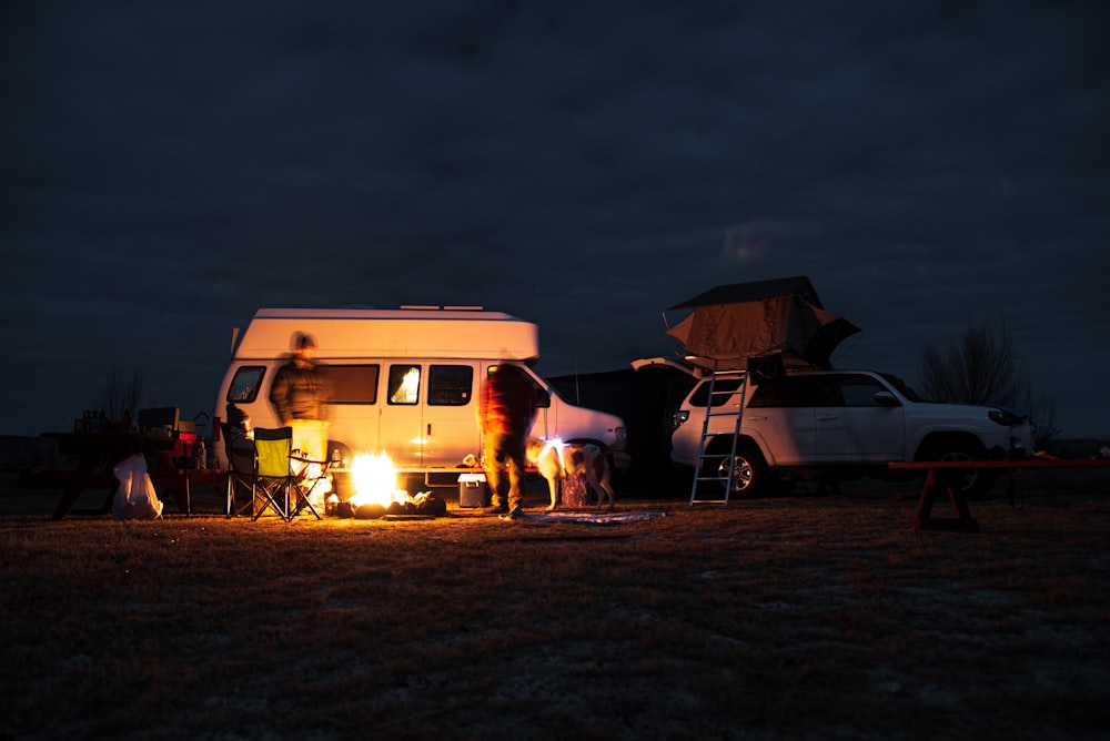 cheval blanc et brun avec calèche sur un champ brun pendant la nuit