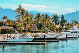 white and blue boat on dock during daytime