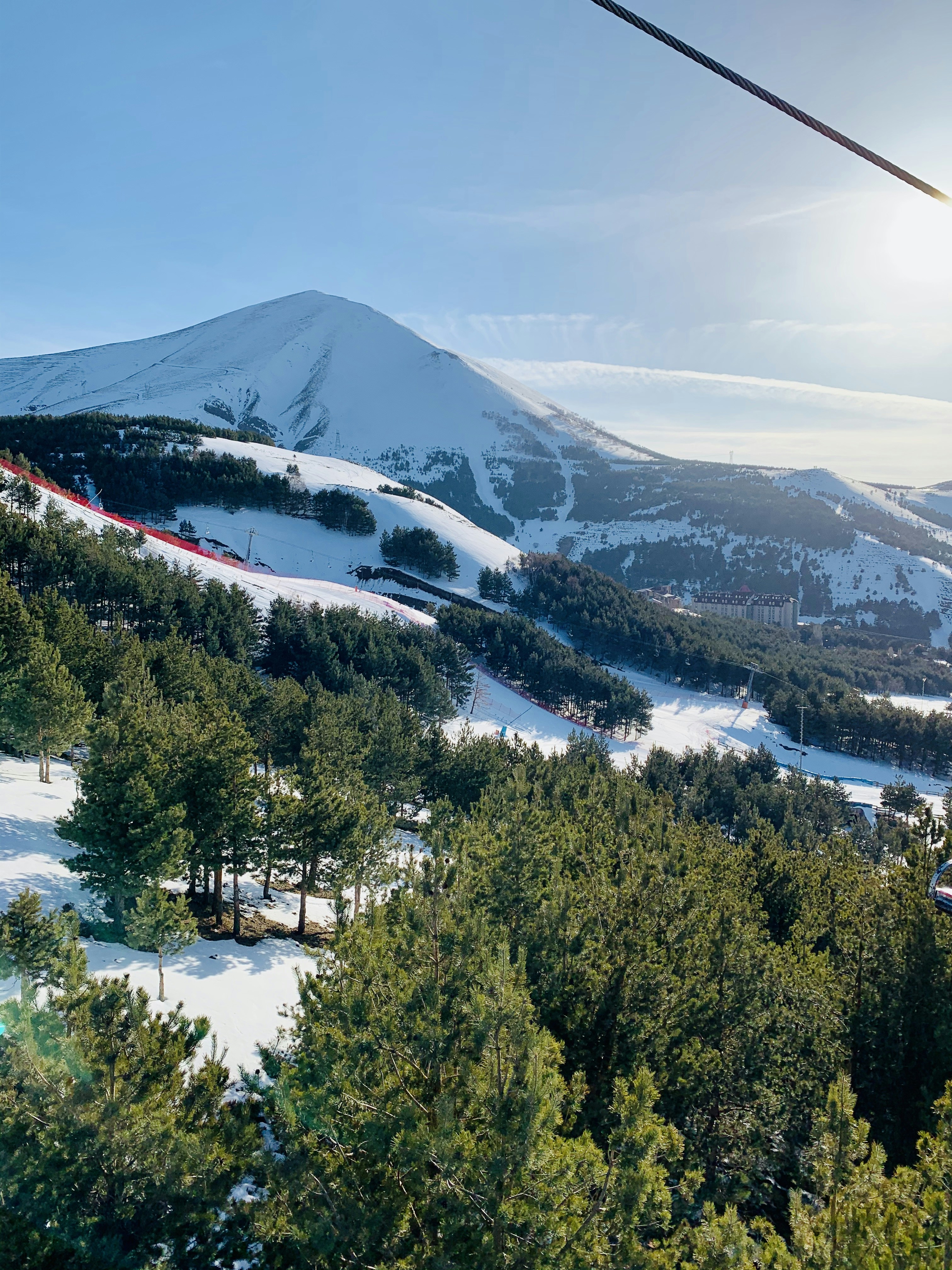 green trees near snow covered mountain during daytime