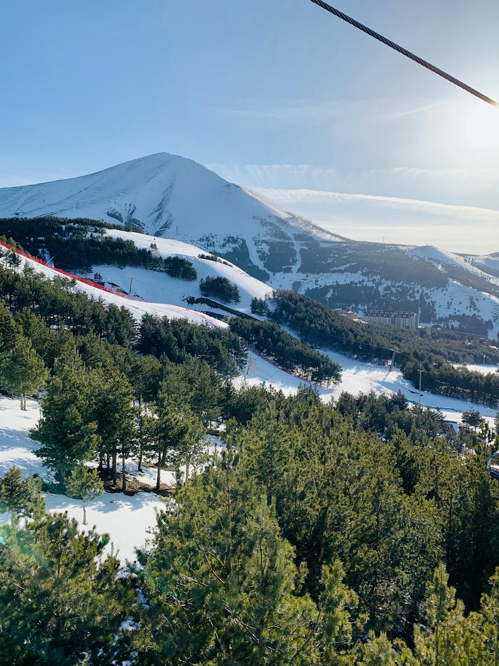 green trees near snow covered mountain during daytime