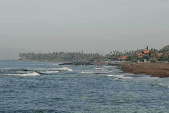 body of water near green trees during daytime in Canggu Indonesia