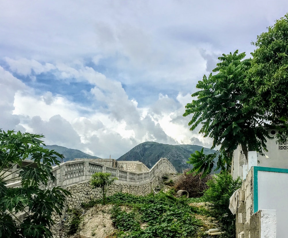 green tree near white concrete building under white clouds during daytime