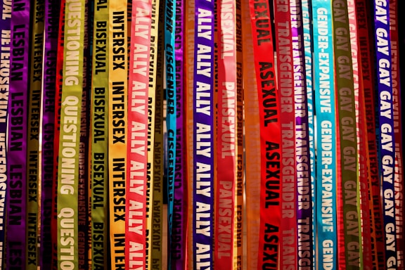 Colorful ribbons featuring words related to gender identity and sexual orientation hang vertically. Each ribbon displays labels like lesbian, bisexual, intersex, transgender, and ally, among others. The ribbons are in a vibrant array of shades, creating a rainbow effect.
