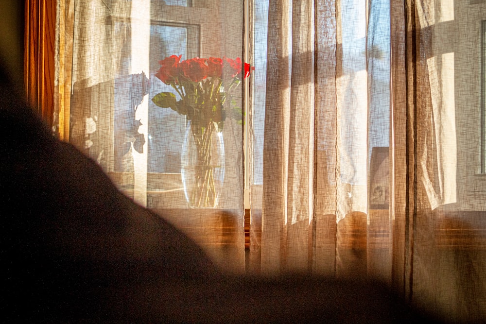 white and red floral window curtain