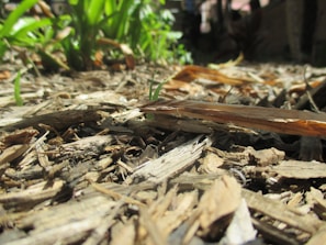 Close-up of freshly mulched flower beds enhancing the landscape.