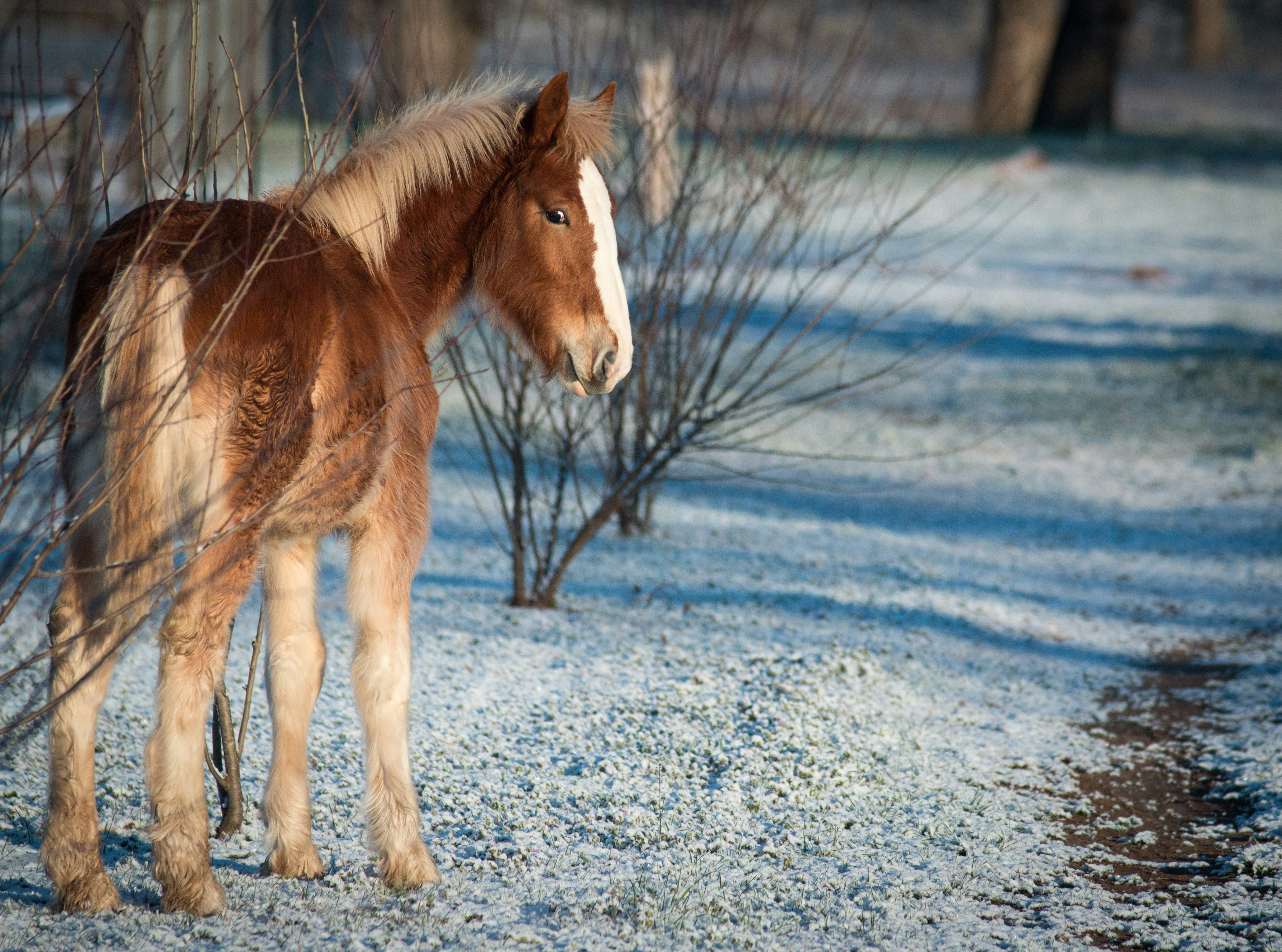 Photo by matthewelancaster