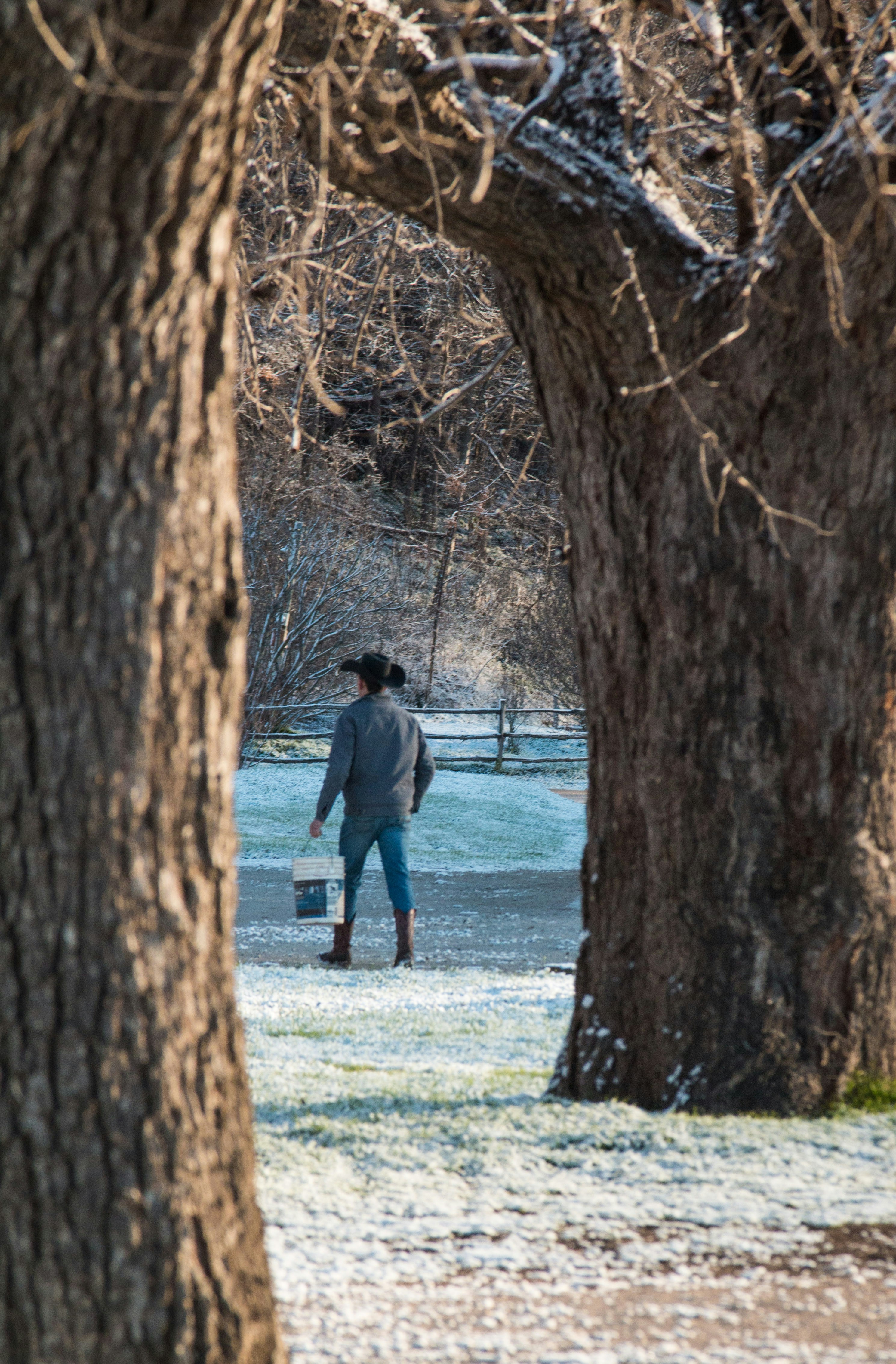 Tree Trunk Pictures Download Free Images On Unsplash