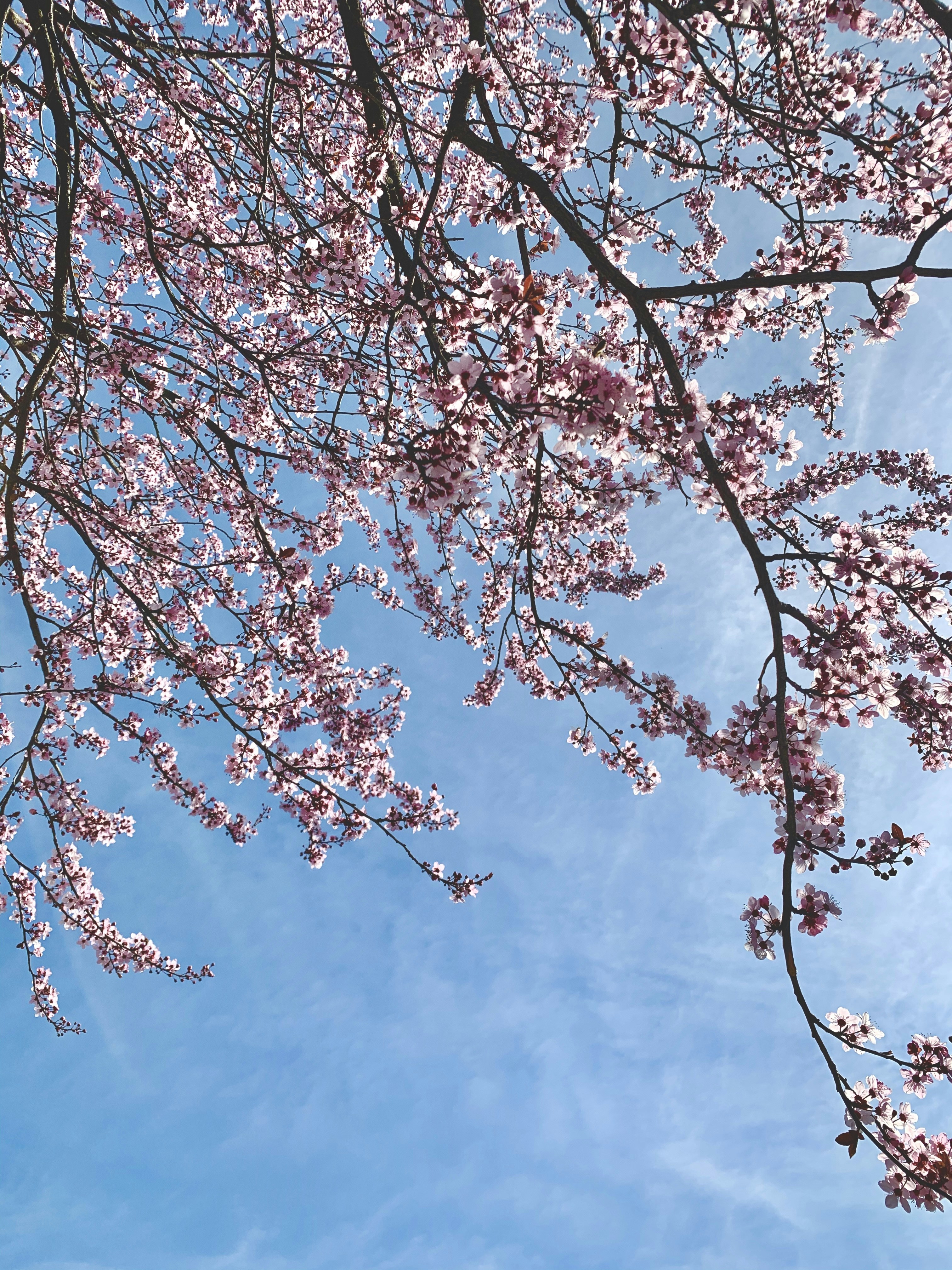 Photo by isabellacullari