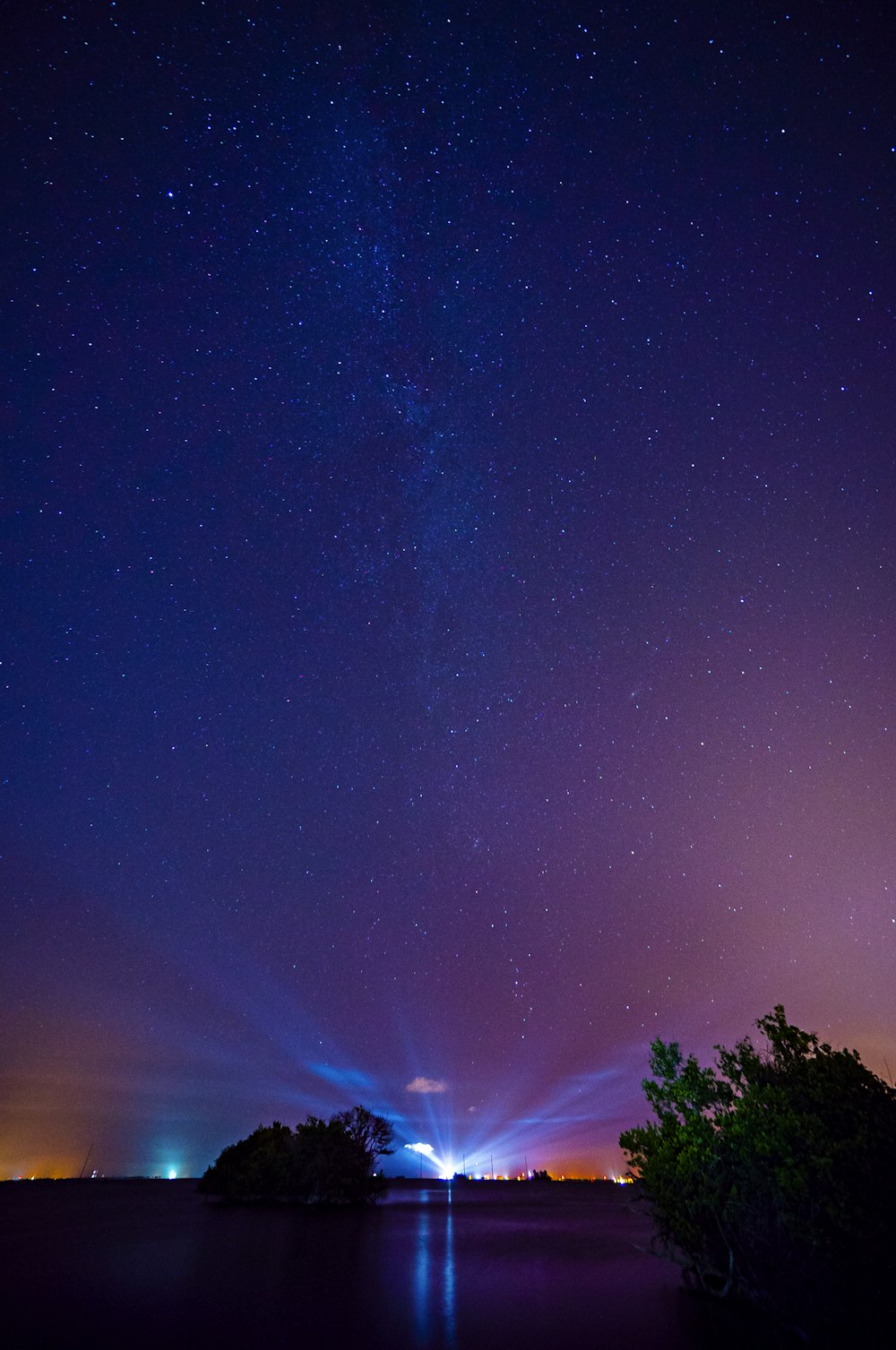 green trees under blue sky with stars during night time