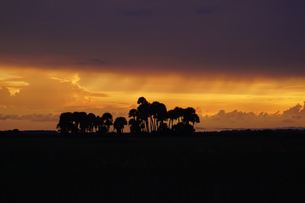 silhouette of people on field during sunset