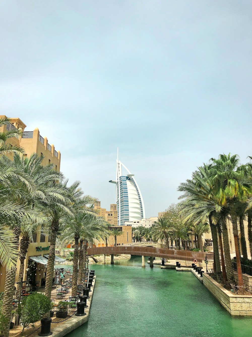 green palm trees near body of water during daytime