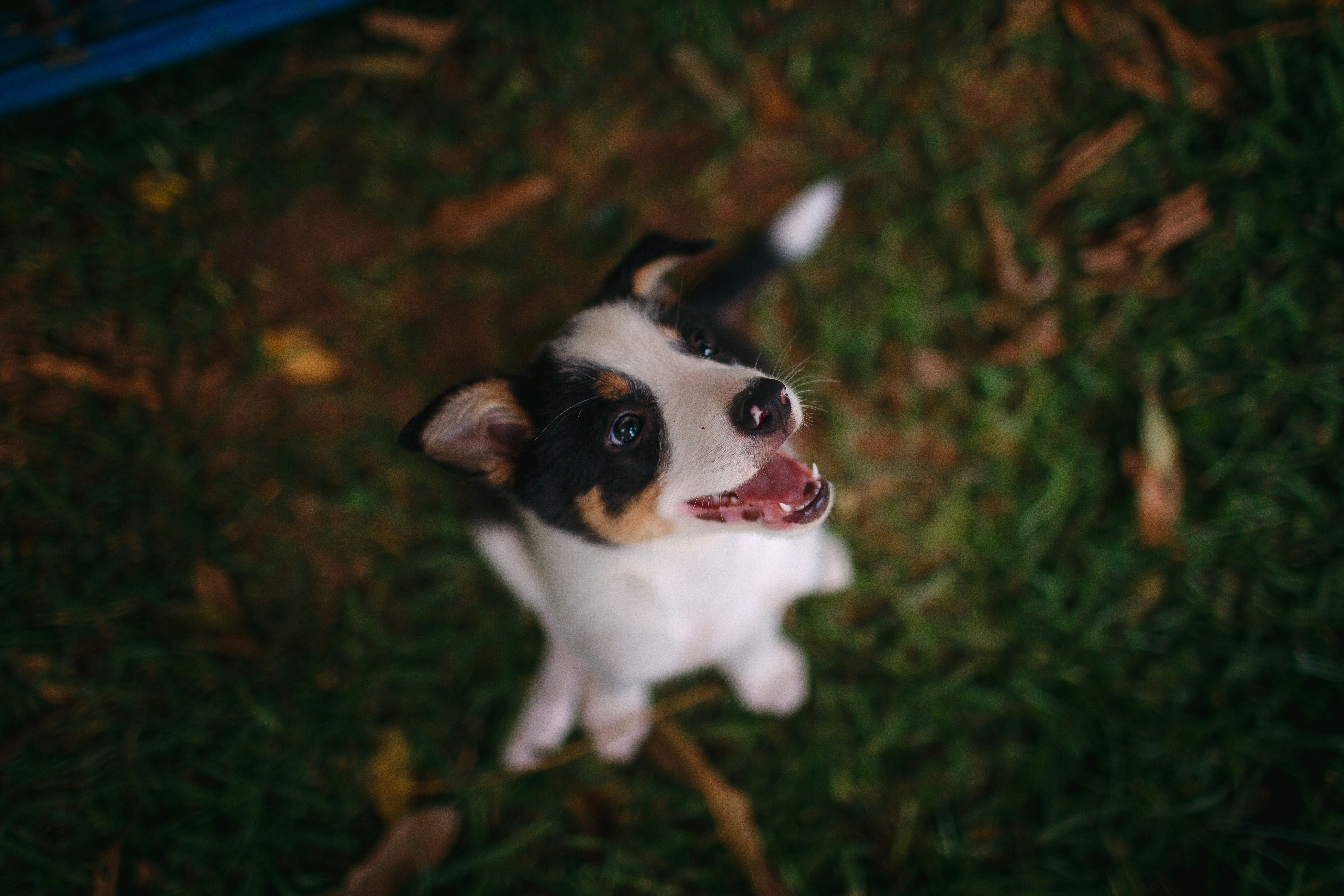 Photo by helenalopesph