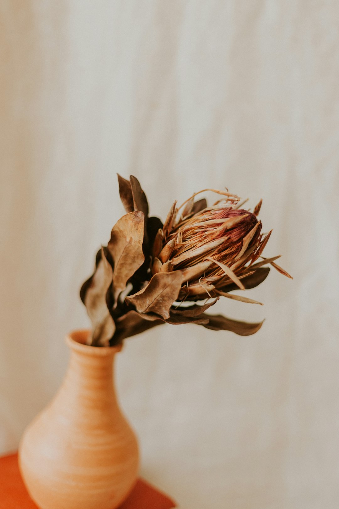 brown and white ceramic vase