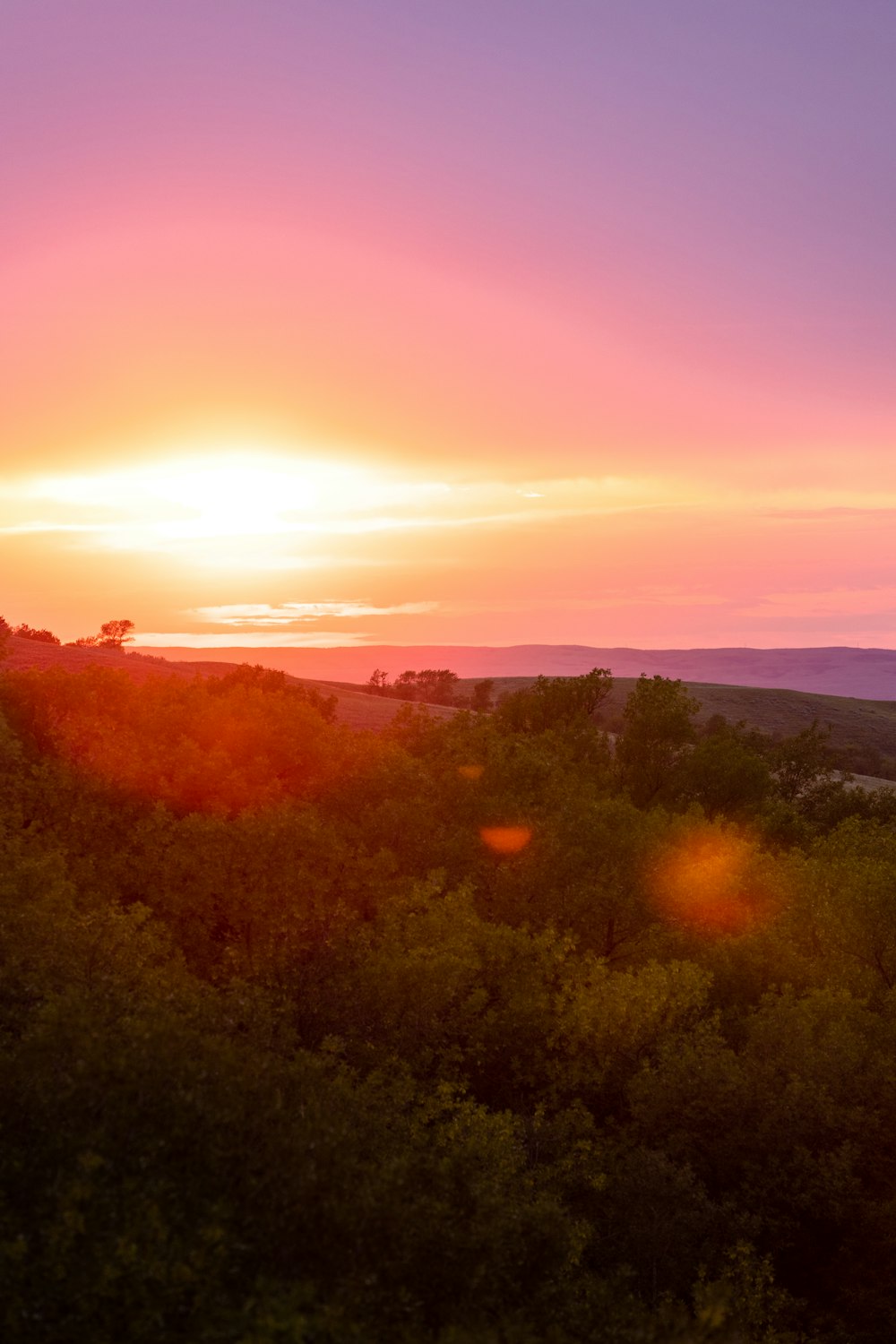 green trees and mountains during sunset