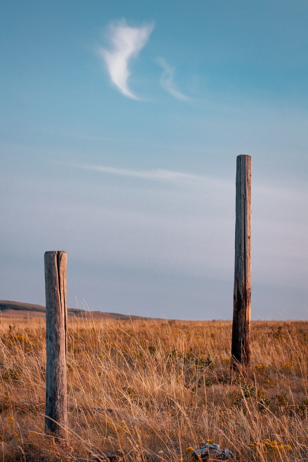 poste de madeira marrom no campo de grama marrom sob o céu azul durante o dia