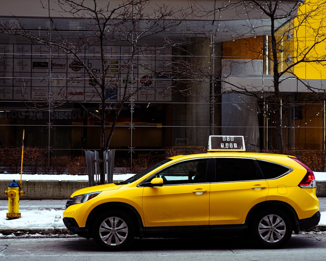 yellow car parked near bare trees during daytime