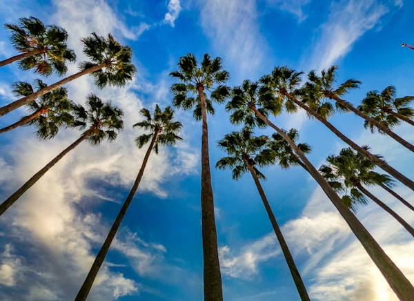 How To Find the Best Deals for Cable and Internet in Tampa, FL