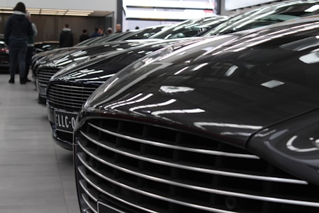 A professional inspecting a row of imported cars ready for sale.