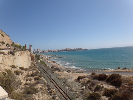 brown concrete building near body of water during daytime in Alicante Spain