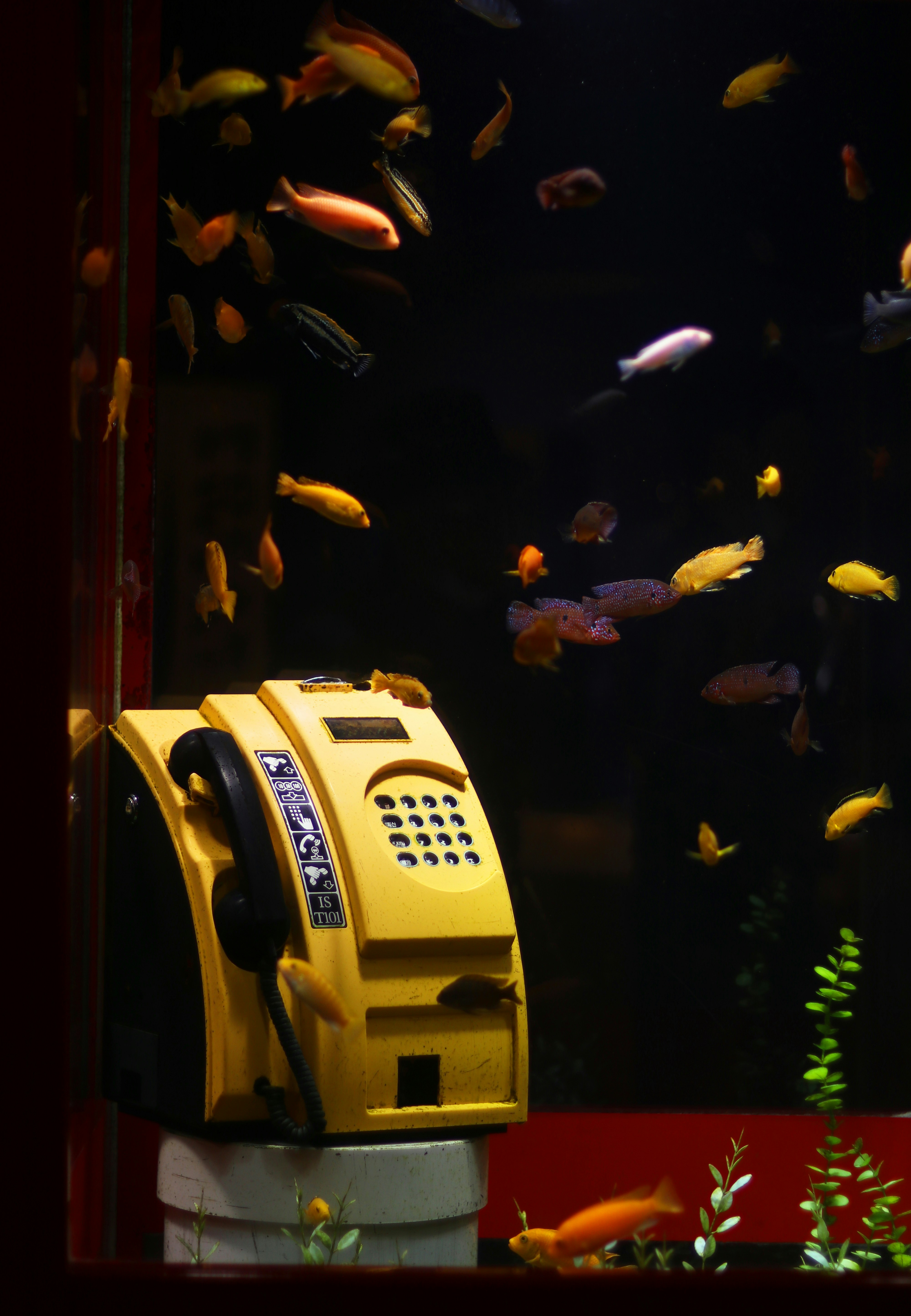 yellow and black digital watch