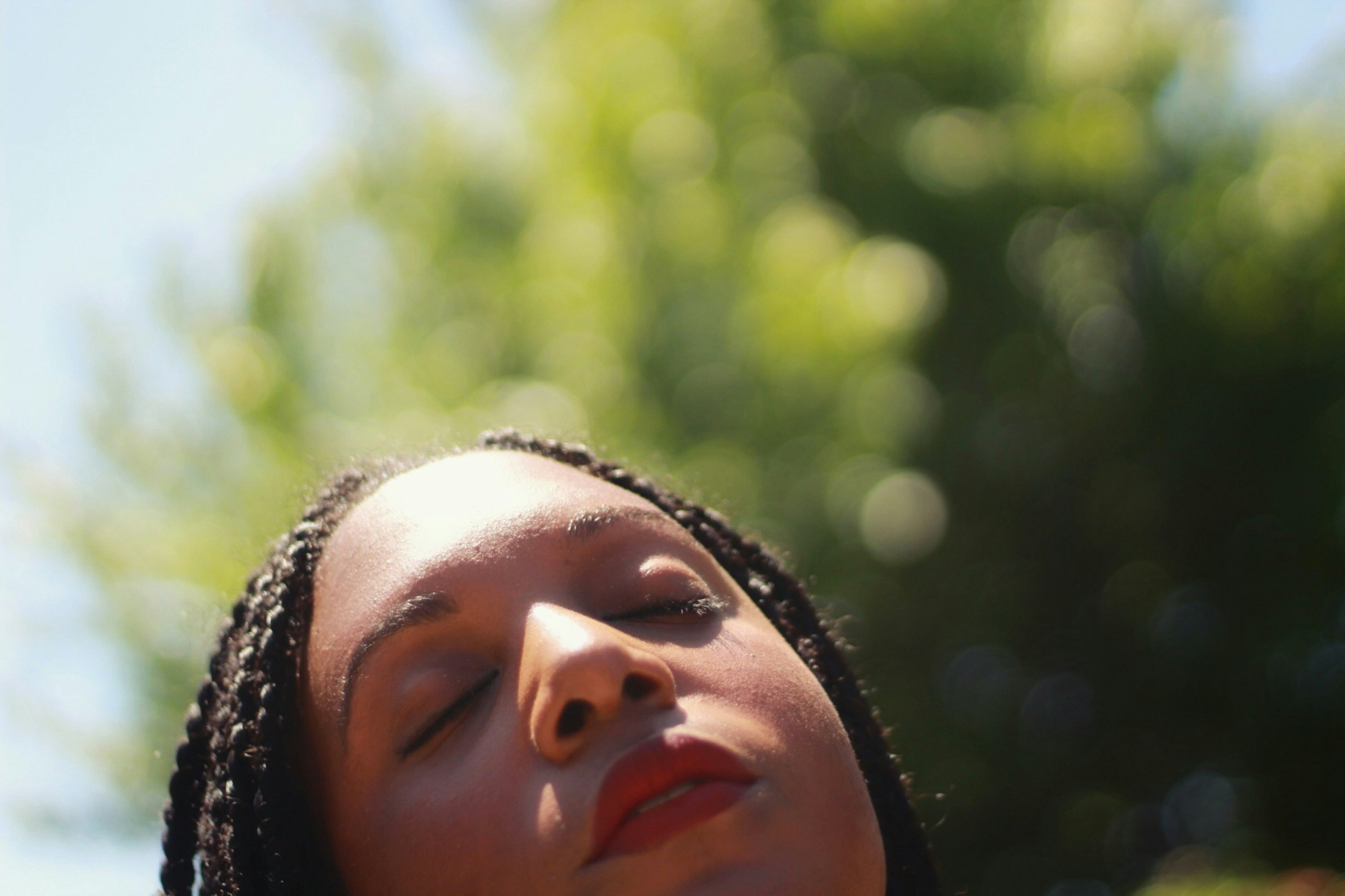 womans face in close up photography