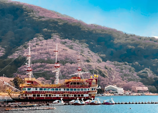 brown ship on sea near mountain during daytime in Lake Ashinoko Japan