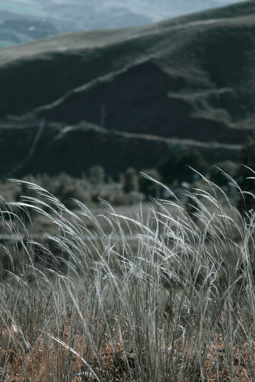 white grass field near green mountain during daytime