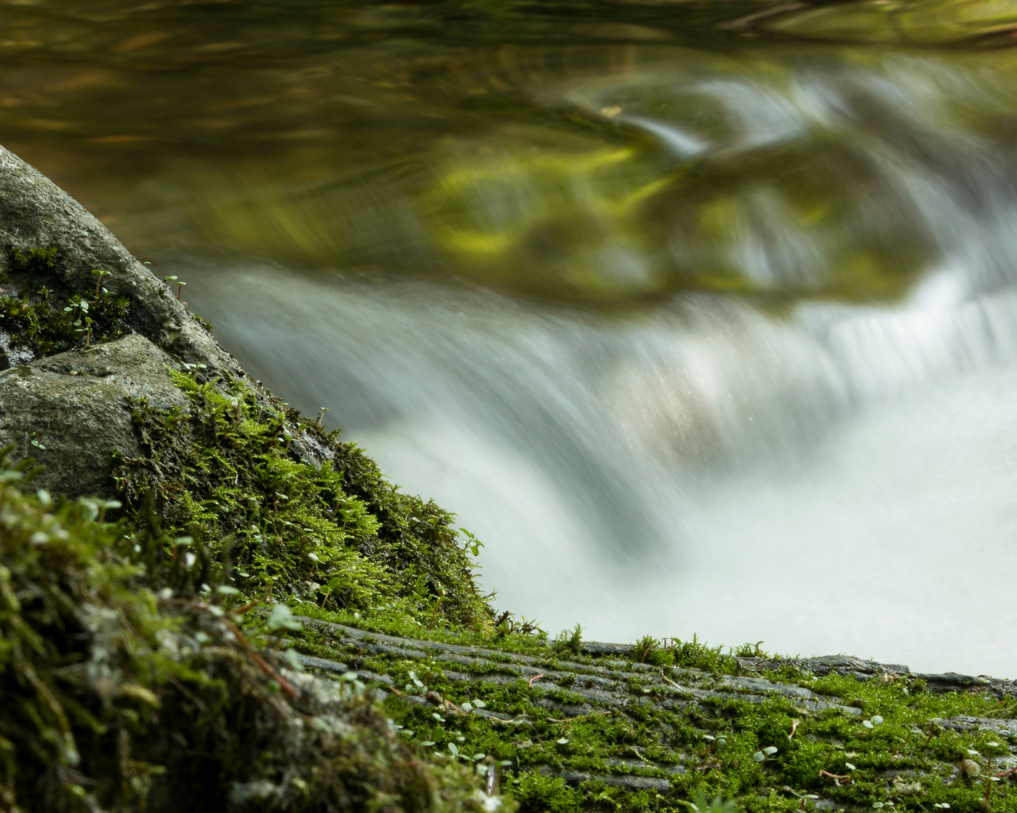 waterfall by a rock and log with moss